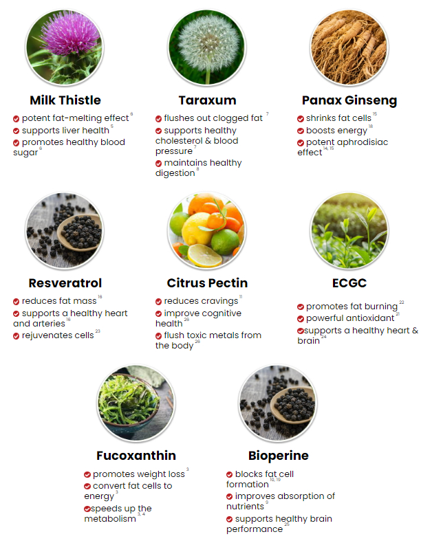 Ikaria Lean Belly Juice Supplement Facts